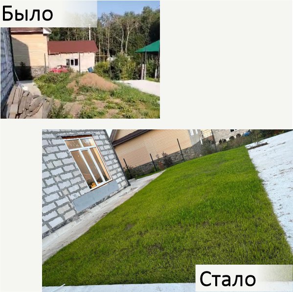 Газон, клумба, благоустройство
