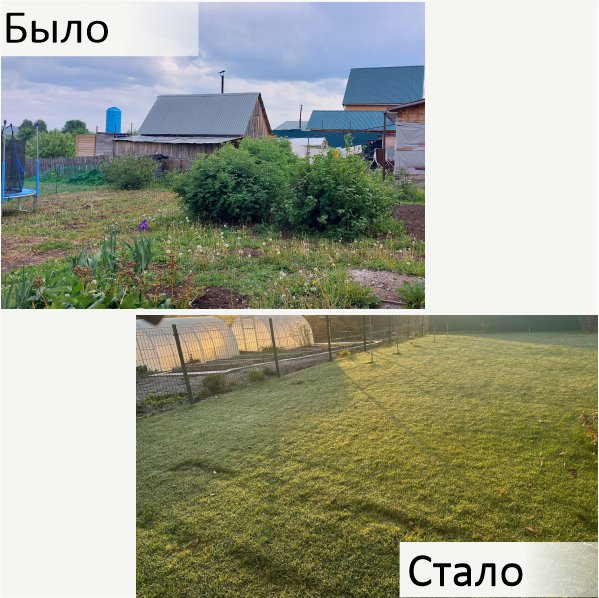 Газон, клумба, благоустройство