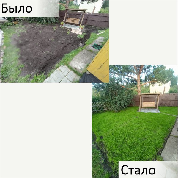 Газон, клумба, благоустройство